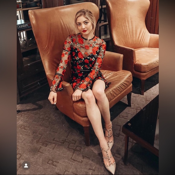 Beautiful rose dress by Saylor NY - Picture 7 of 10